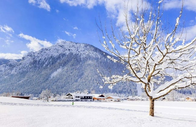 Rooster 2 -kierngasshausl- - Foto 4