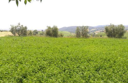 Agriturismo Uliveto Gretacci - Foto 72