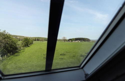 Greystead Institute - Foto 41