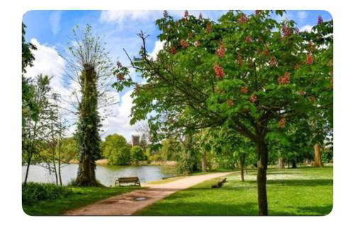 Sleeps 2 -Central Ellesmere -Parking - PetFriendly - Foto 39