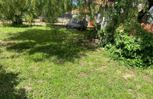 Quinta dos Pinheiros - Foto 45