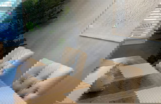 Poolside Retreat Boynton Beach - Foto 15