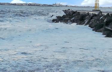 Appartement convivial Le Verdon 35 m² piscine partagée - Foto 19