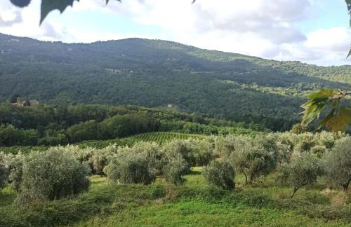 La casetta di campagna Alloggio nel Chianti - Foto 25