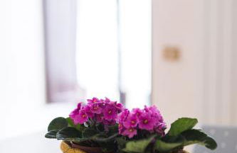 Ad un passo dal Duomo - Foto 8