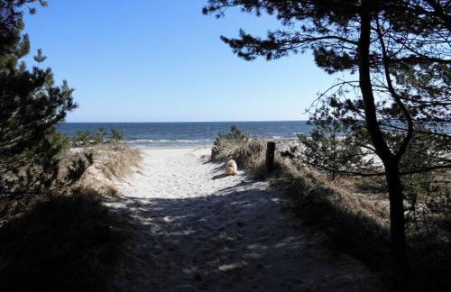 Ferienwohnung mit Terrasse - Insel Usedom - Foto 46
