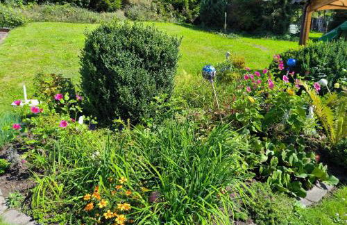 Am Springelbach - Foto 17