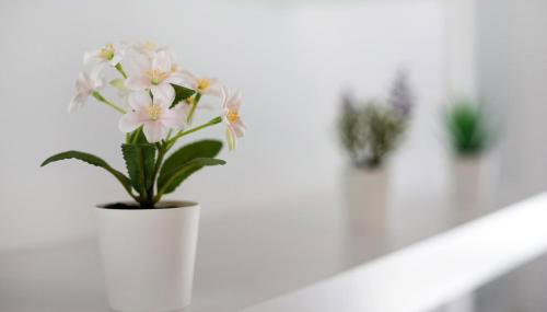 Penthouse 3A - Foto 3