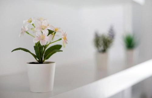 Penthouse 3A - Foto 3