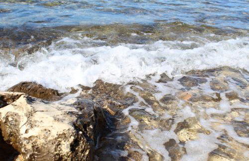 Santa Marina - Foto 37