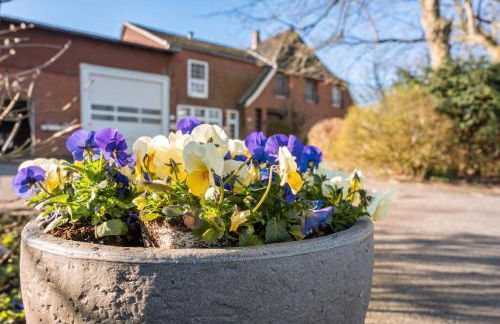 Ferienhof Friccius - Foto 20