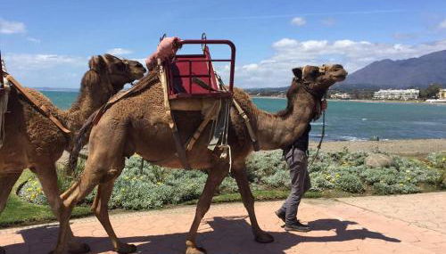 Casa Cachita - En 1ª línea de playa con maravillosas vistas - Photo 5