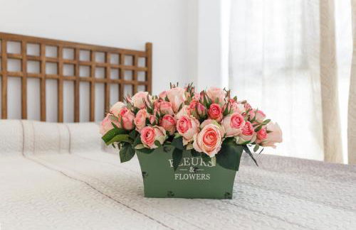 Apartamento Matarolux 15 - Photo 4