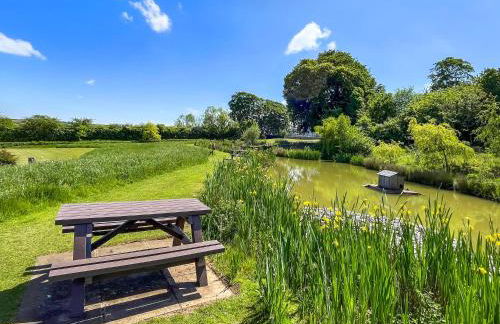 Roses Rest - Uk49743 - Foto 11