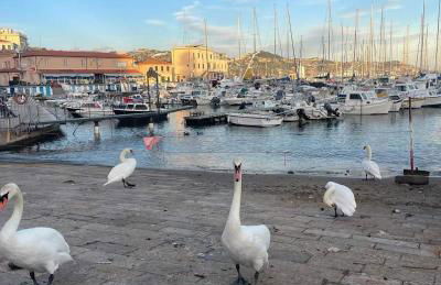 Nene's Home - Foto 41