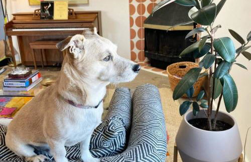 Onu Vibrant Light Filled Onu Suite at La Dea - Foto 16