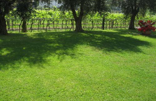 Casa Carla - Photo 64