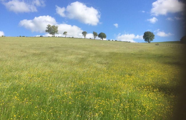 Y Twlc Mochyn - Ecofriendly - Farm Animals - Foto 16