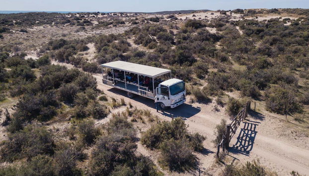 Estancia San Lorenzo Trip & Whale Watching - Foto 5