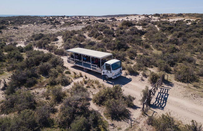 Estancia San Lorenzo Trip & Whale Watching - Foto 5