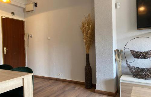 Cosmopolita Madrid zona Céntrica - Photo 30