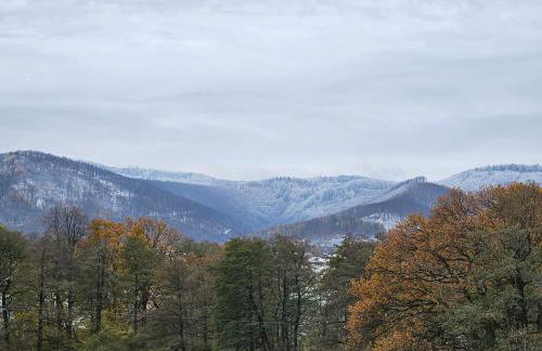 Złota Widokówka - Foto 77