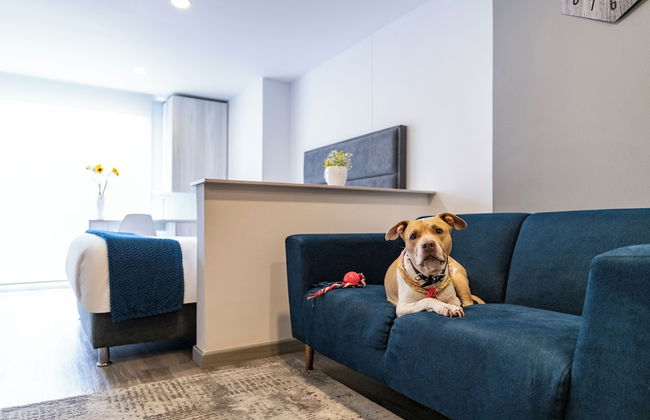 Torre Ventto Lofts by Jalo - Foto 15