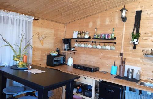 Bieszczadzkie Wzgórze Saunowe- Jacuzzi i Sauna w cenie pobytu - Foto 58