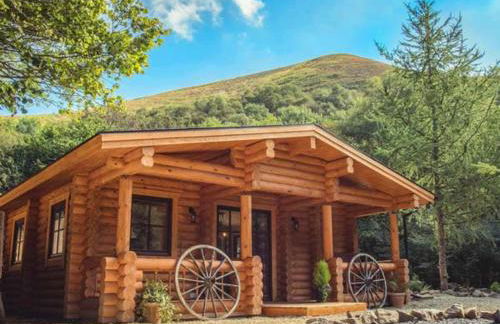 Wilderness Lodge - Foto 1