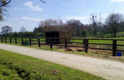 gite des écuries - Photo 11