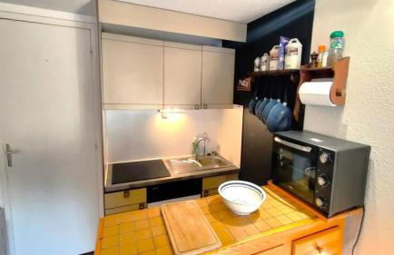 Résidence Les Dauphinnelles 3 - Agréable Appartement de montagne 4/6 pers MAE-0791 - Foto 3