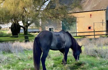 Gîte De La Ferme Du Tilleul - Foto 19