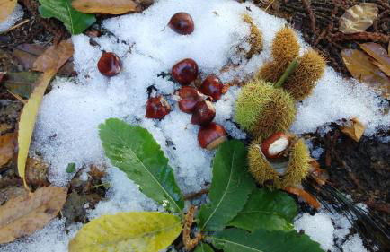 Casa Turismo Rural O FILANDÓN - Foto 28