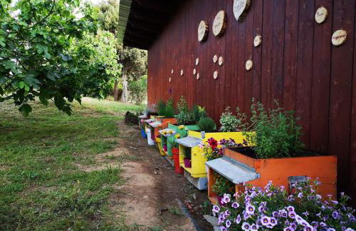 Su Leunaxiu - Foto 158