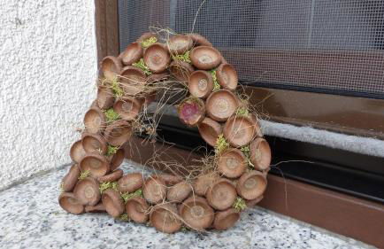 Amselgarten - Foto 58