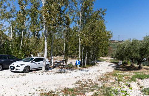 Bio Fattoria Mula D'Oro - biofattoriamuladoro it - Organic Food, Nature & Relax - Foto 22