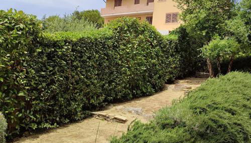 La Presentosa - Foto 4, Garden