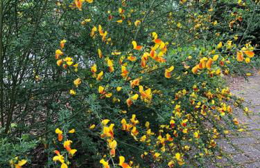 Haus am Reithmoor - Foto 35