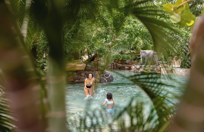 Center Parcs Erperheide - Photo 67