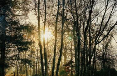 Tarmachan Cottage - West Highland Getaway - Photo 8