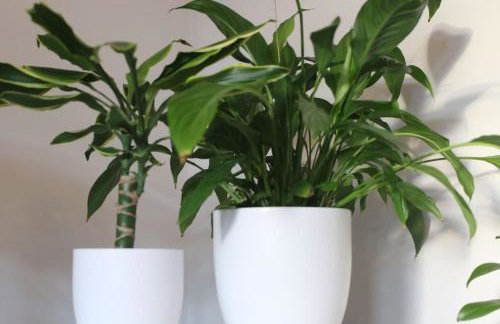 Amazing 2-Bed Home w/ Private Garden Free Parking - Foto 11