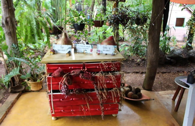 Pousada Pouso das Araras - Foto 55