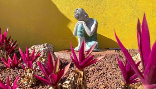 Casa del Sol - Ferienhaus Abades Teneriffa - Photo 4, Garden