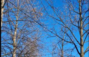 Vista Lago - Foto 30