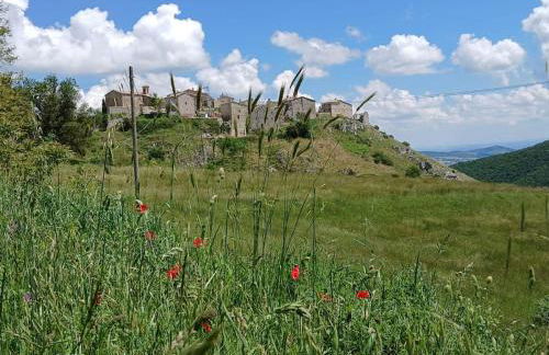Rifugio San Vicino - Foto 1