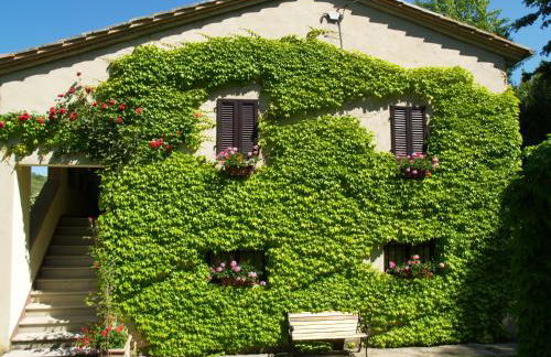 Agriturismo Nobile - Photo 60