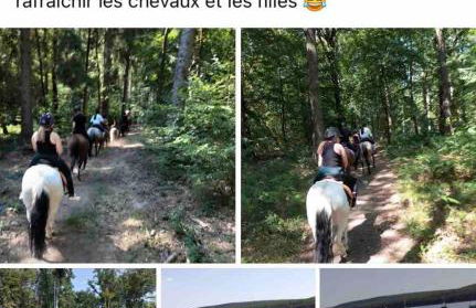 A l'orée des bois - Foto 20