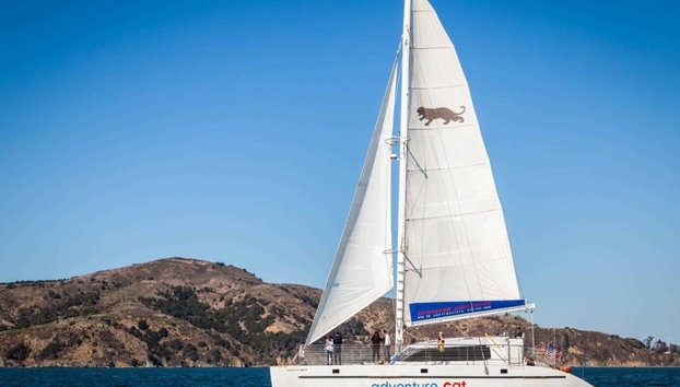 Cruzeiro à vela na Baía de São Francisco - Foto 3