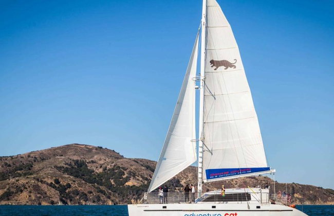 Cruzeiro à vela na Baía de São Francisco - Foto 3