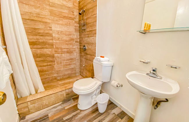 Gladiolas 1208 - Foto 19